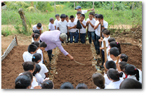 Pictures of children learning how to make elevated planting boxes the images rolls over to children harvesting squash.